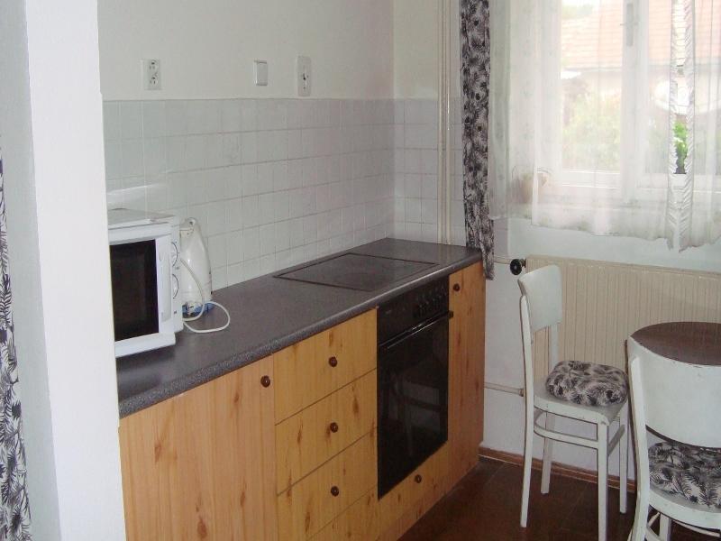 Privat Mirovice-Breznice Buitenkant foto